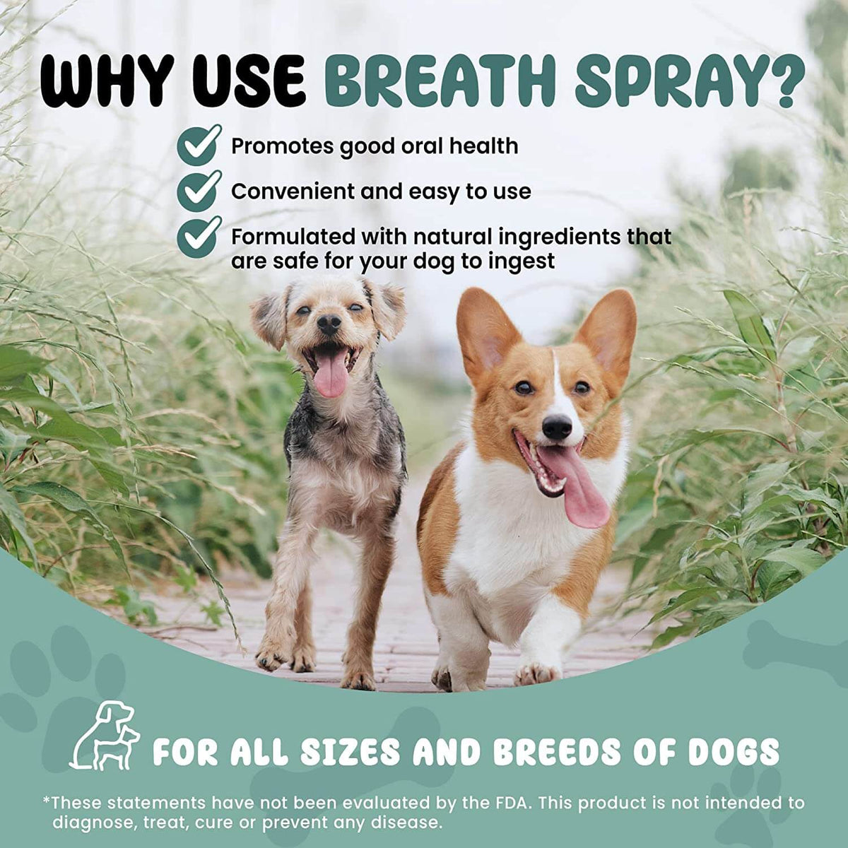 SCD Probiotics Breath Spray for Dogs - Dog Probiotic - 4.4 fl.oz