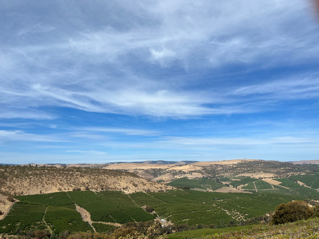 Japanese Hollow Gravel Bike Ride The Dalles Oregon