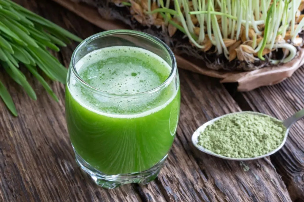 How to Use Barley Grass Juice Powder