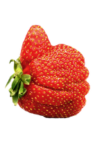 WonkyStrawberry_small.png__PID:59d06828-0e86-4476-973d-b4046ba41ab5
