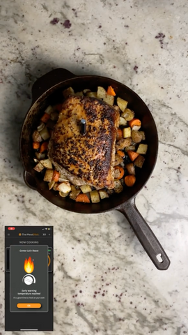 Roast Pork The MeatStick Wireless Thermometer