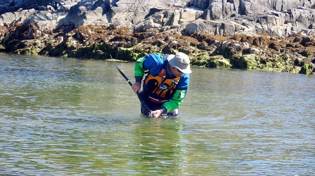 Werner Cyprus crab scooper