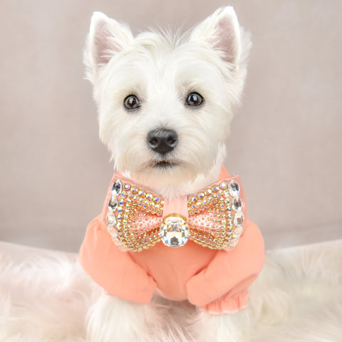 Mia the Westie in Sparkly Dog Bow
