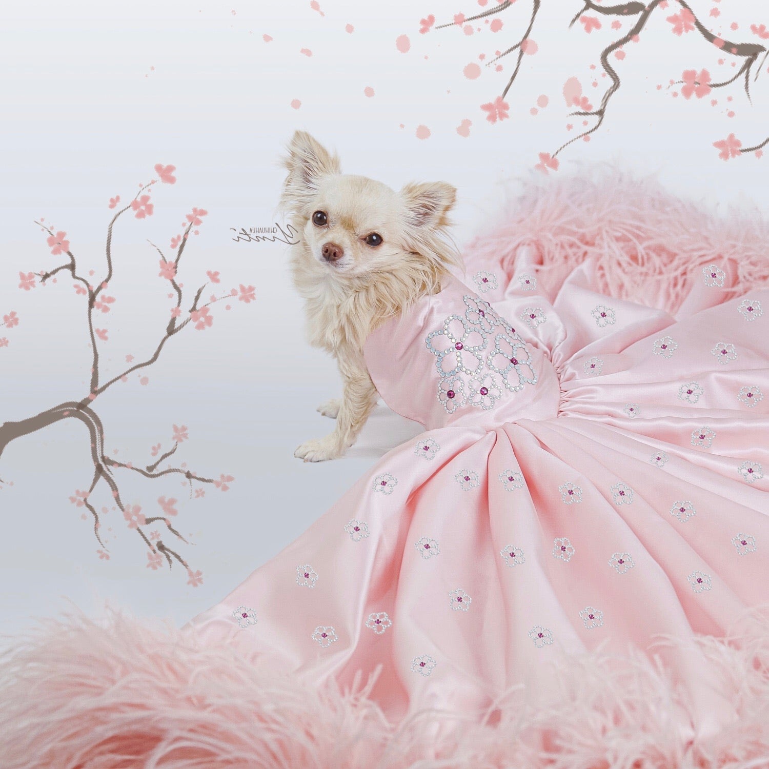 Canine Couture: The Most Luxurious Dresses Ever Made For Dogs – Marc Petite