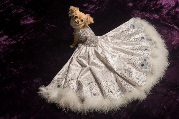 ball gowns for dogs