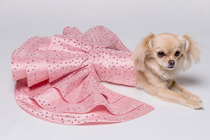 6+ Dog Pink Dress