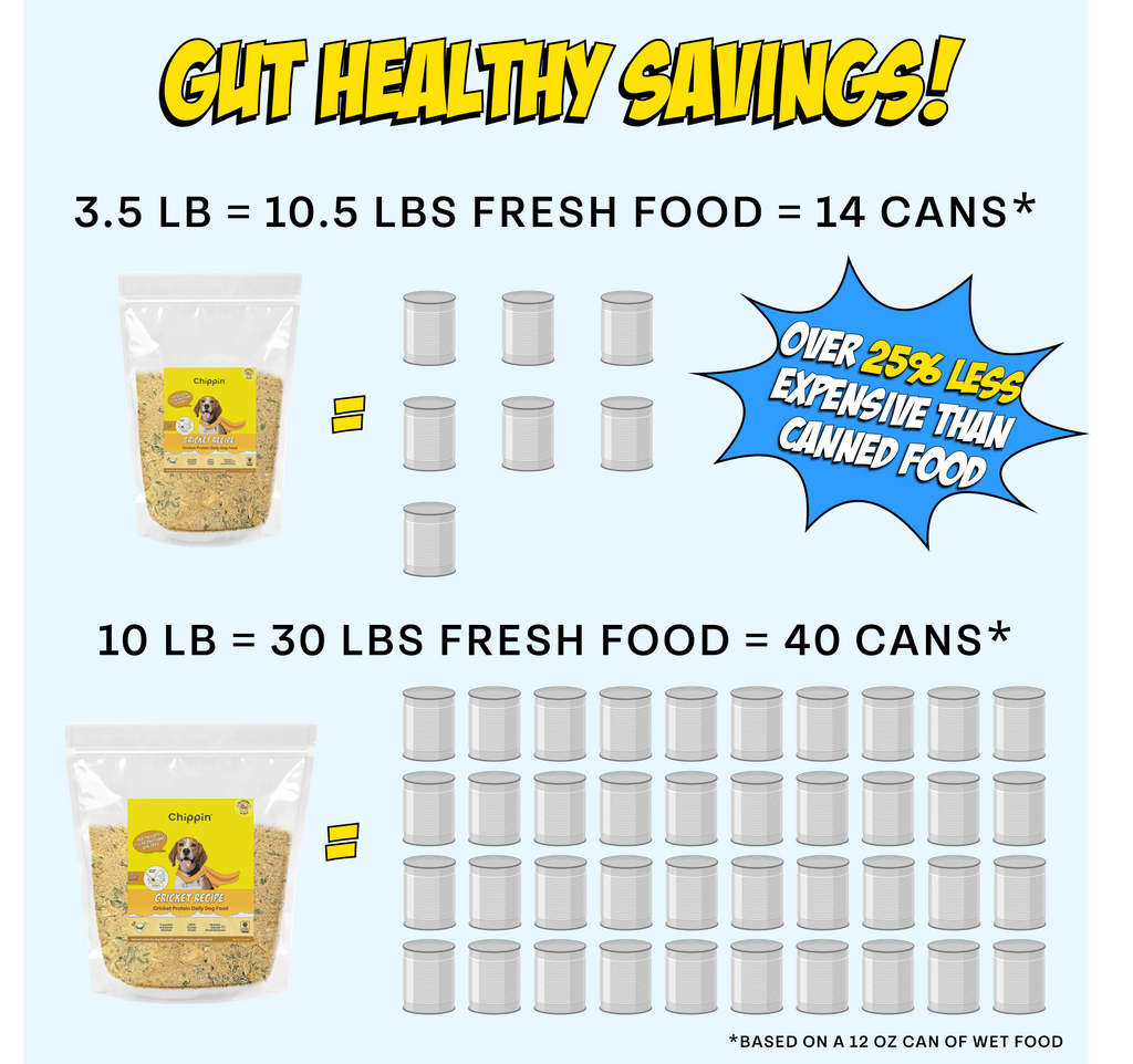 Canned Food Compared to Dehydrated Fresh Food