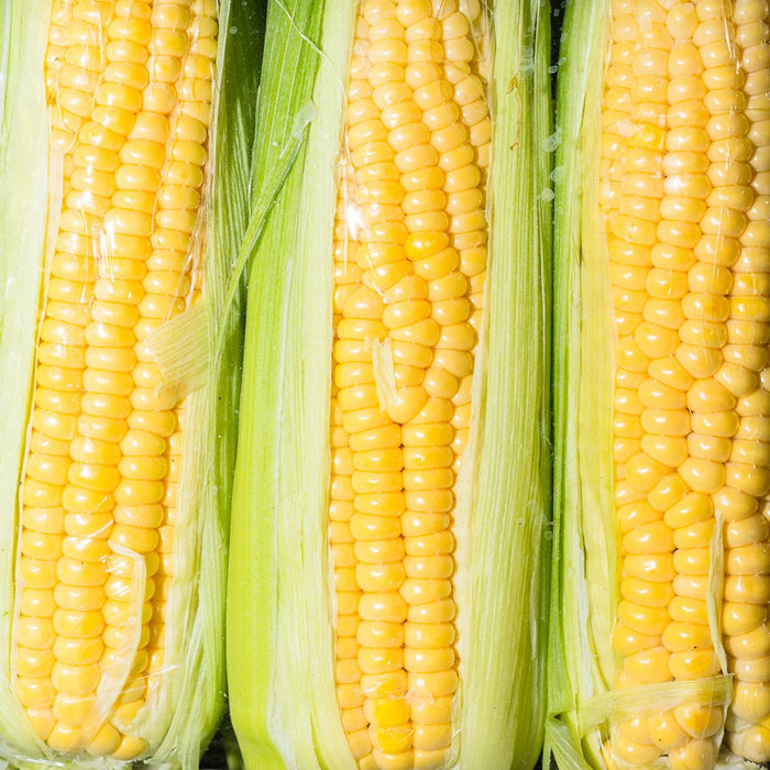 Elote Amarillo por paquete de 3 Pza — Click Abasto