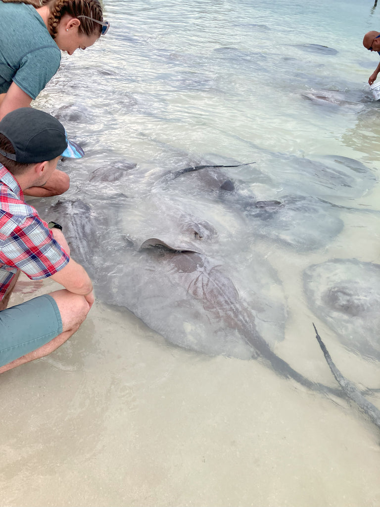 sting rays and wearing alpine fit in warm places