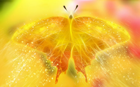 Phoenix butterfly symbol