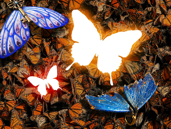 Butterfly spiritual rebirth, transformation and soul