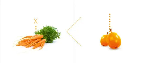 vitamino E profilis tarp šaltalankių ir morkų