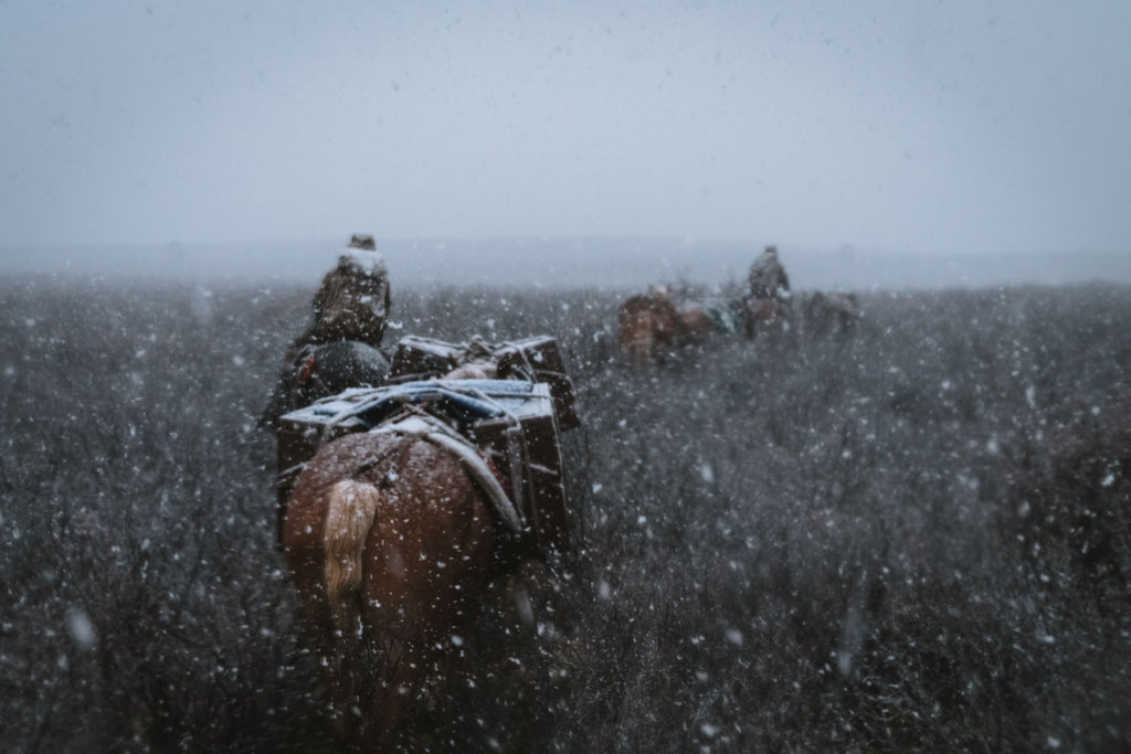 Backcountry horse hunting