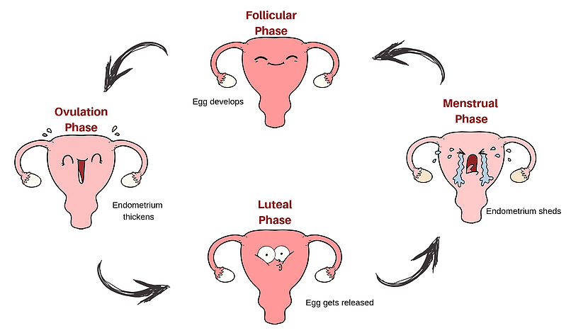 what-is-normal-period-cycle