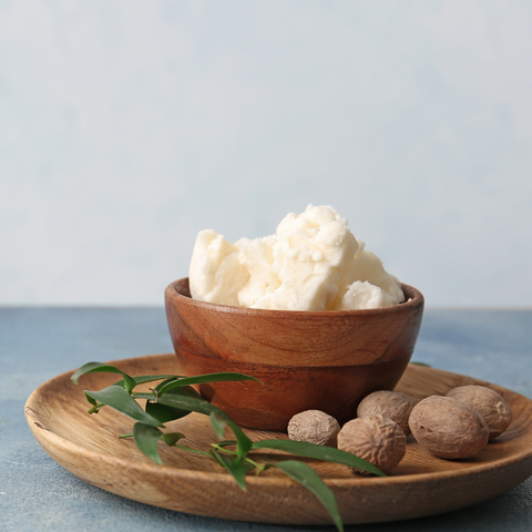bowl of shea butter with shea nuts around