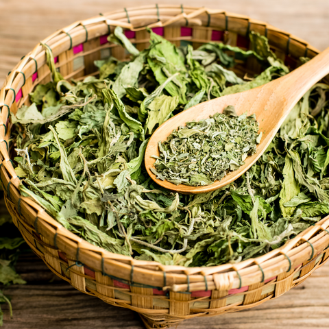 bowl of dried stevia leaves