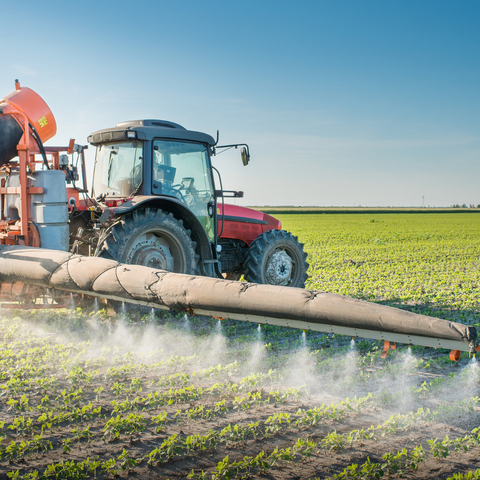 tractor spraying white spray on green crops