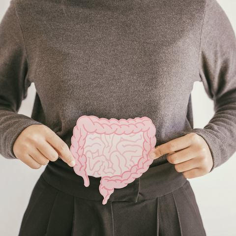 picture of someone holding a picture of the intestines