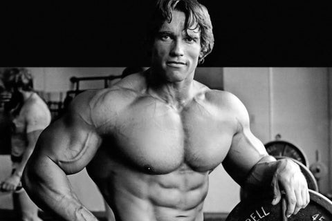 Arnold's Schwarzenegger's Official Home Workout