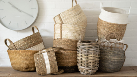 Basketly's collections