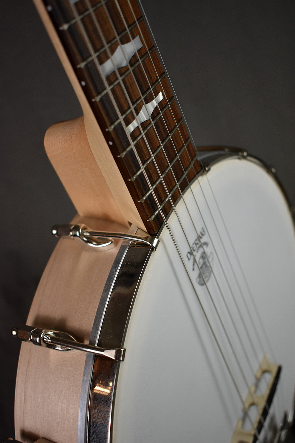 Gold Tone Banjola+ w/ Scoop – Telluride Music Co.