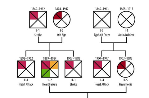 medical genogram family tree