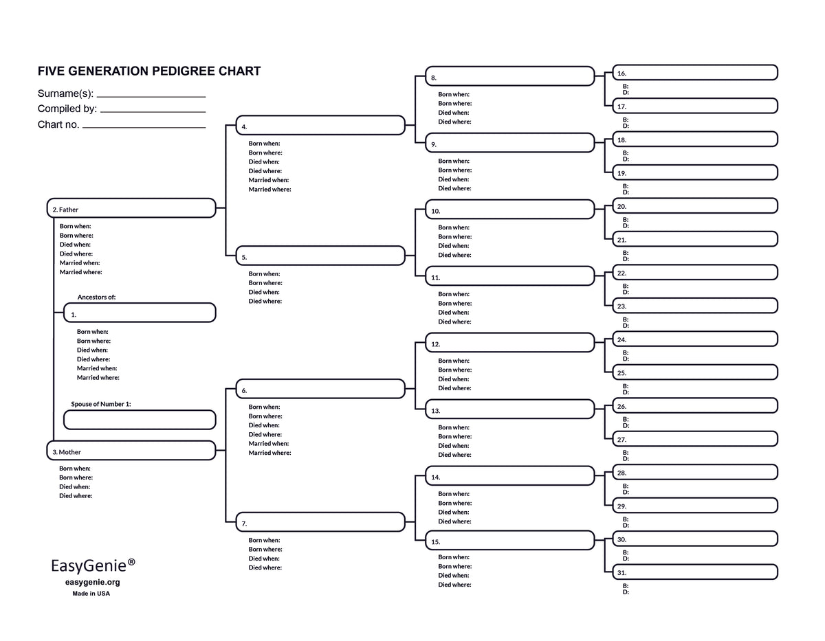 Five Generation Pedigree Charts (30 Sheets) EasyGenie