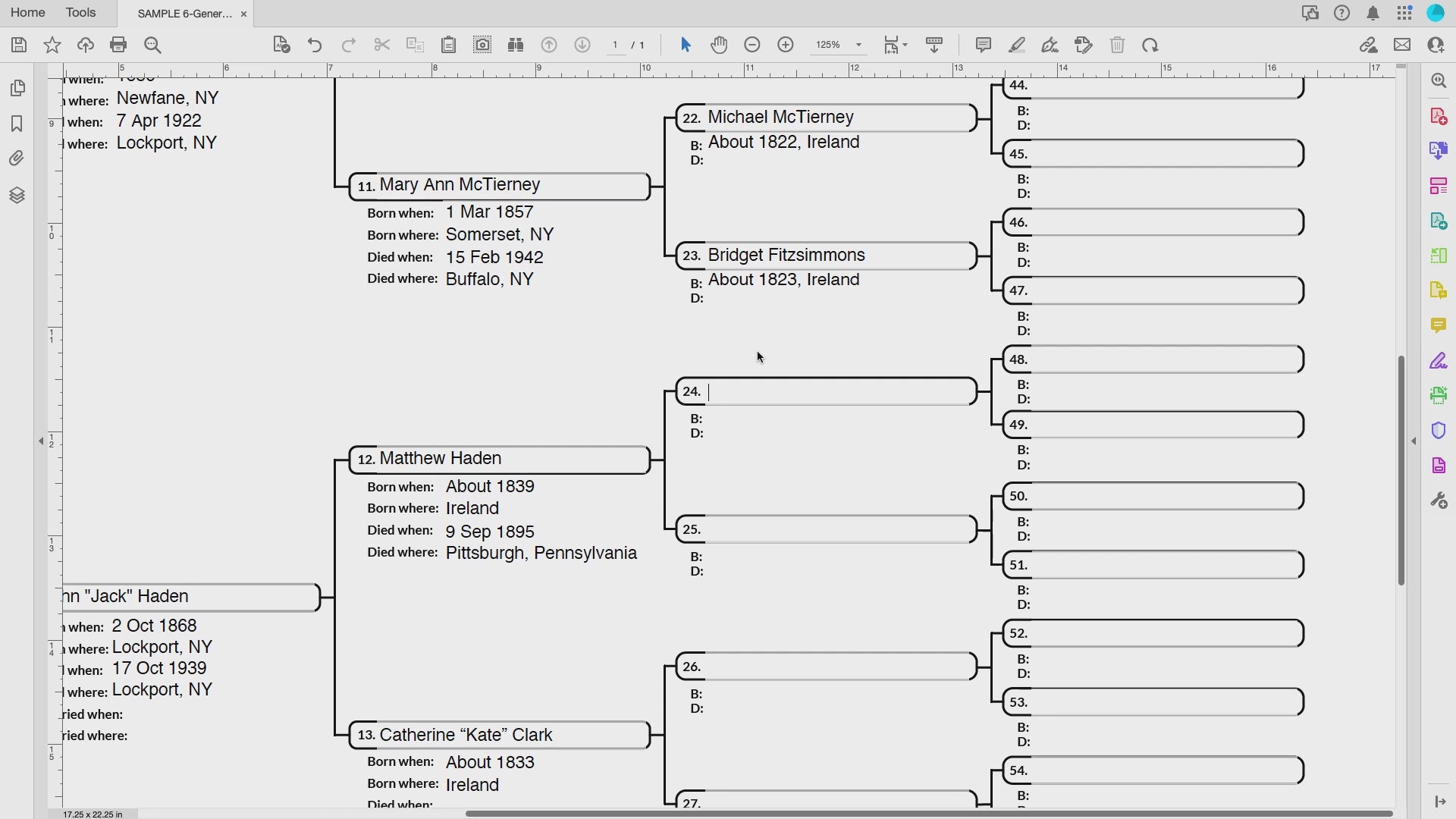 Newsix Video - NEW: Six-Generation LARGE PRINT Fillable PDF Download (17 x 22 inches) â€“  EasyGenie