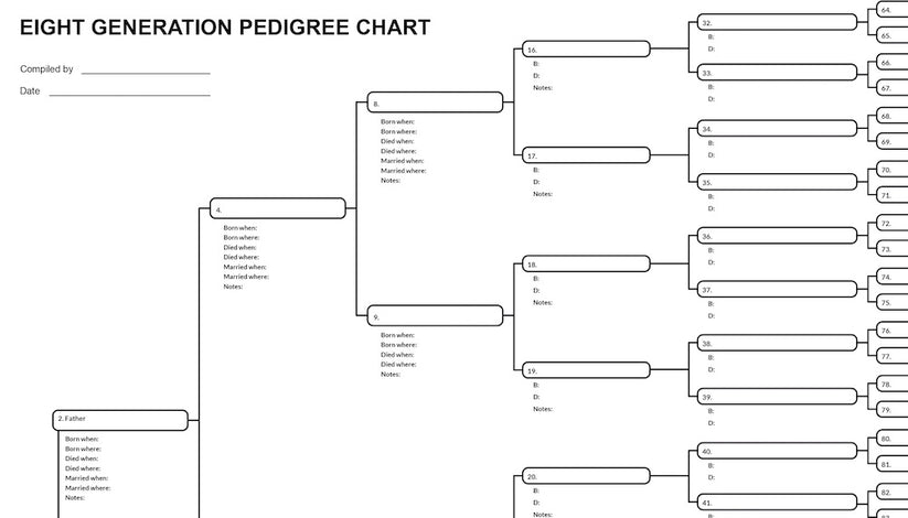 TEN Blank Pedigree Charts (8 generations/256 names per sheet) – EasyGenie