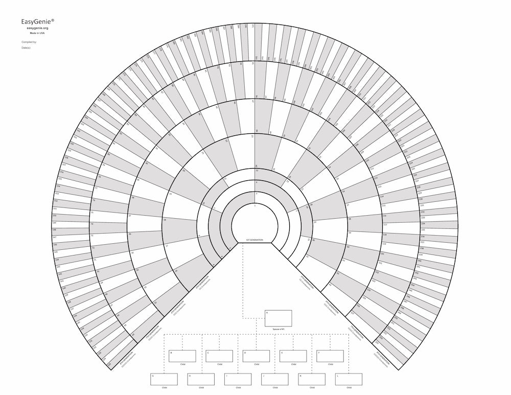 10-blank-fan-charts-with-family-members-9-generations-267-names-by-e