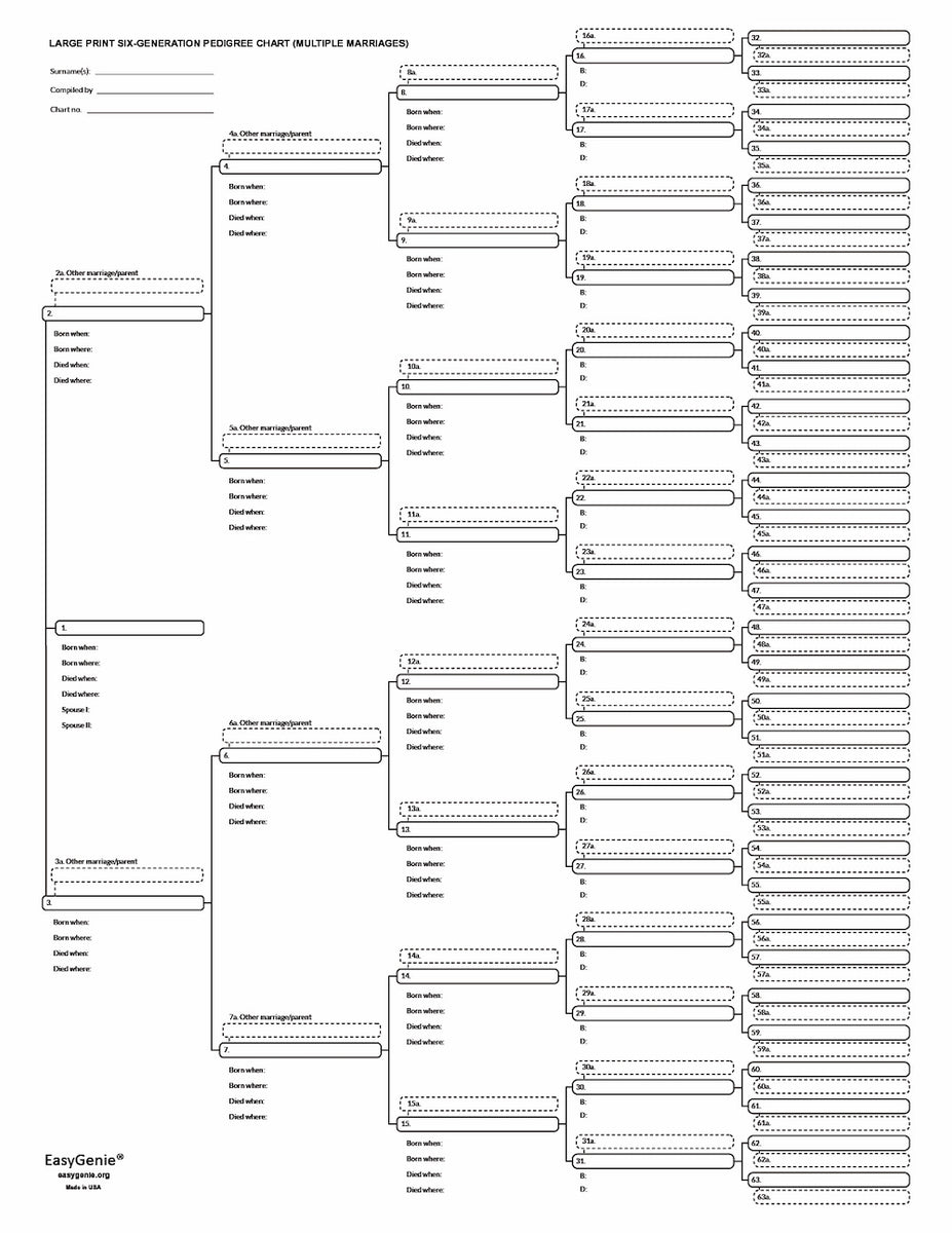 Blended Family Genealogy Kit with Multiple Spouses (12 Large Print She ...