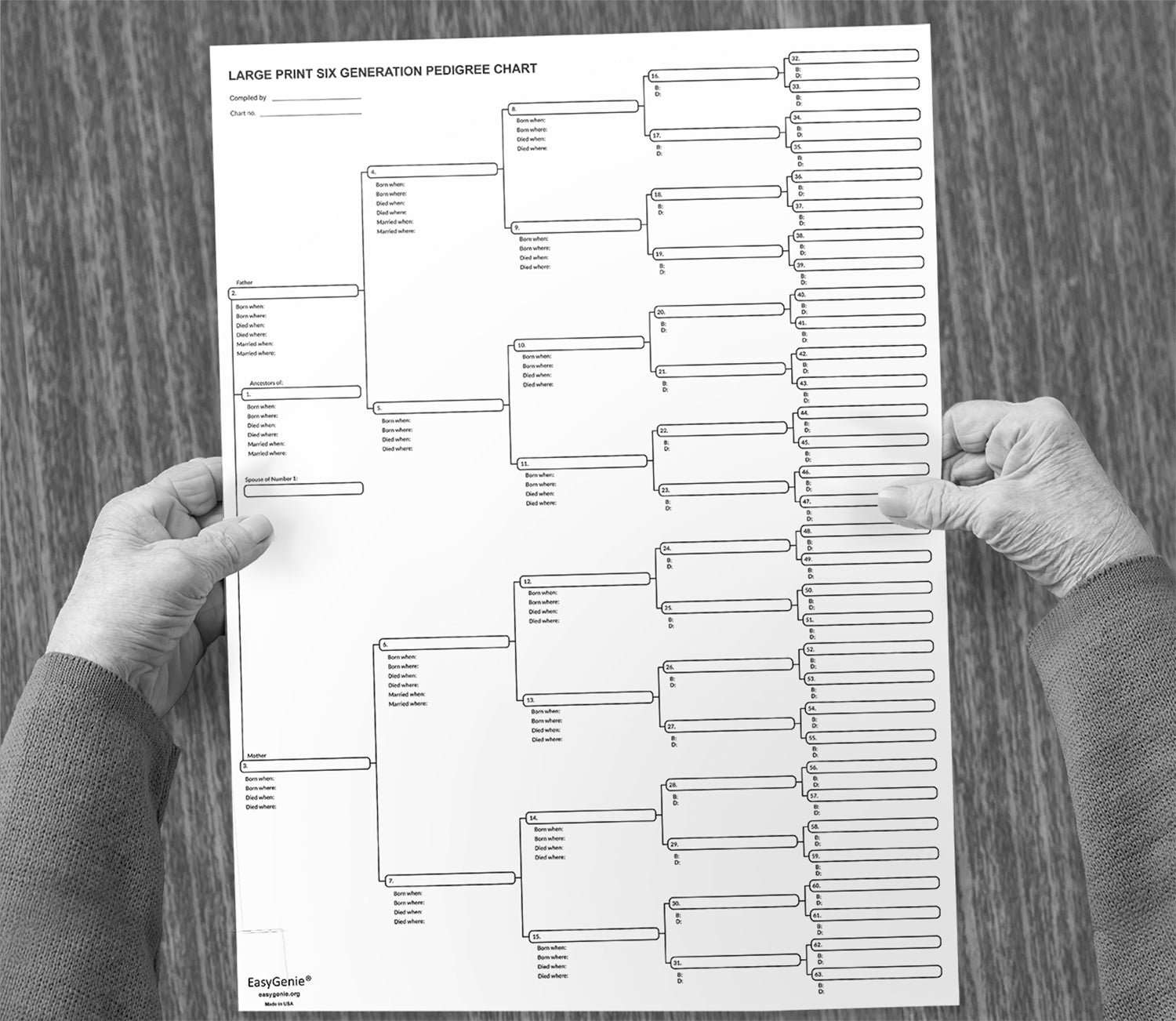 TEN LARGE PRINT 6Generation Pedigree Charts for Ancestry EasyGenie