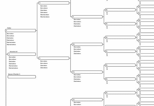 Pedigree charts | 6-generation charts for tracking ancestry (10 LARGE ...