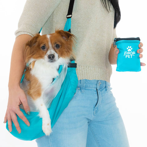 the best small dog carrier