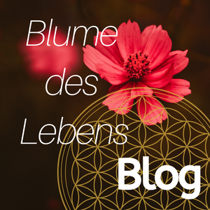 Blume des Lebens Bedeutung