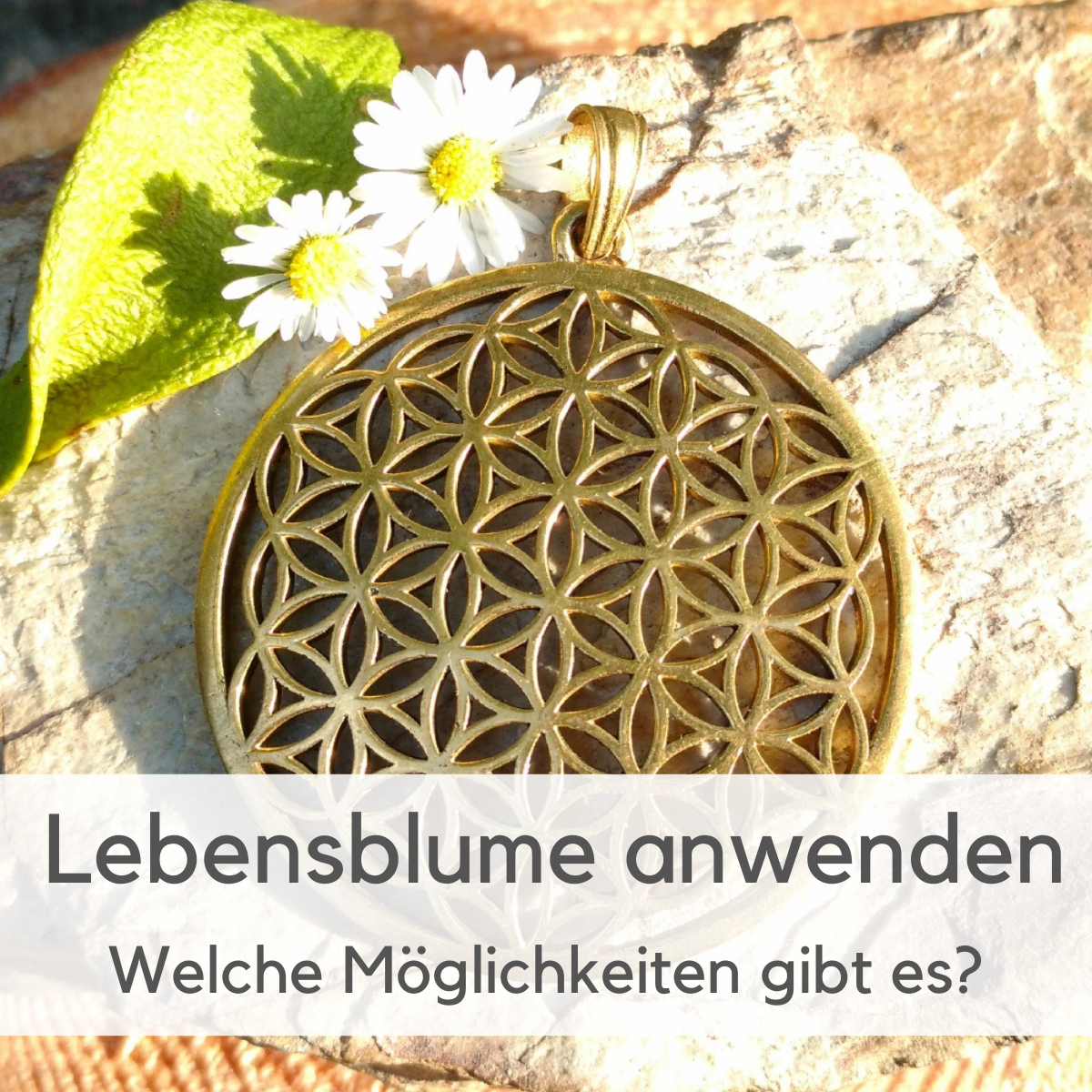 anwenden blume des lebens