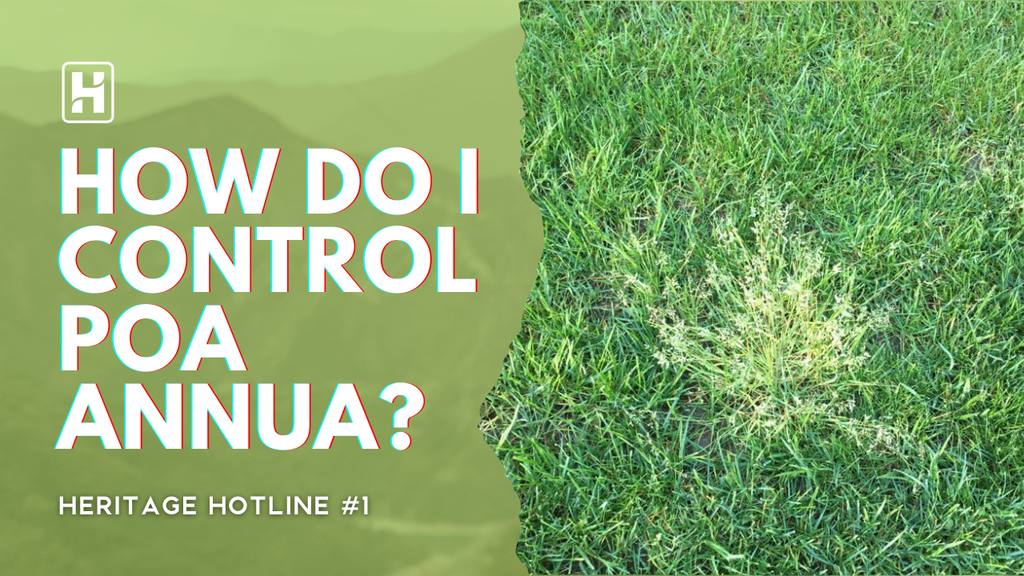 how do i control poa annua?