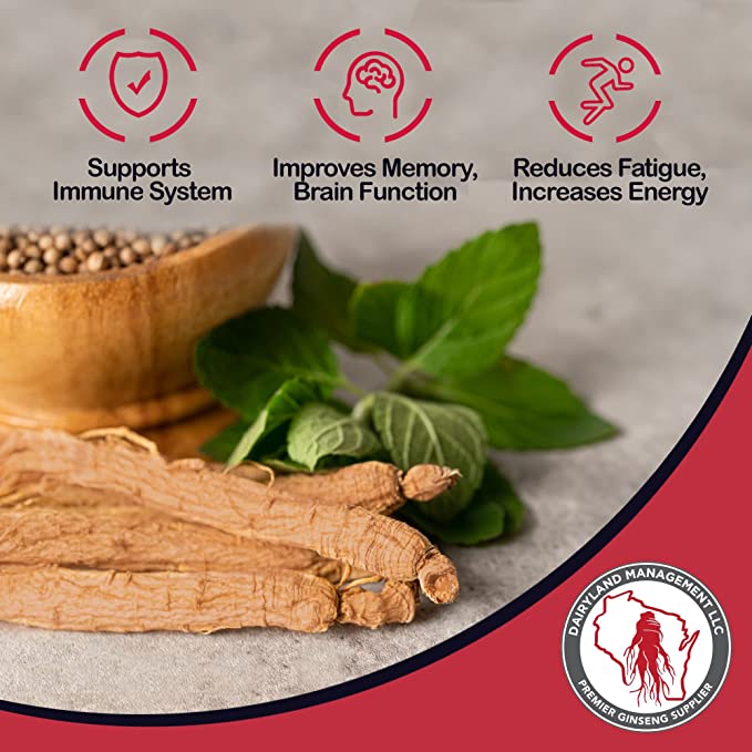 Premium Quality Panax Ginseng Roots - Boost Your Energy and Enhance Your Immune System