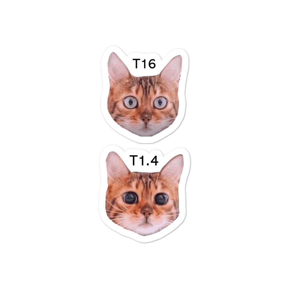 Cat Stops Sticker – Production Apparel