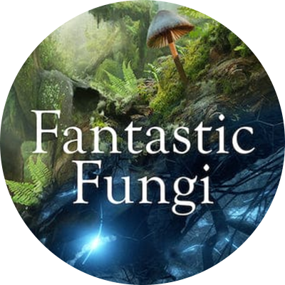Fantastic Fungi Documentary