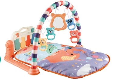 toddler gym toys