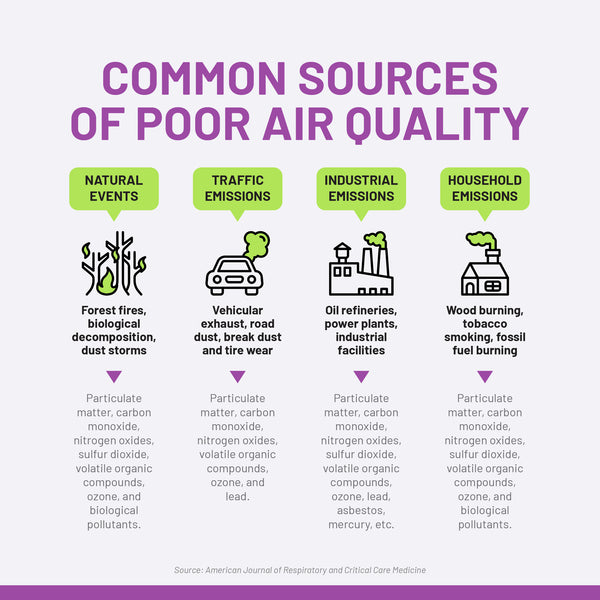 Common Sources of Air Pollution - Natural Events, Traffic, Household, and Industrial emissions