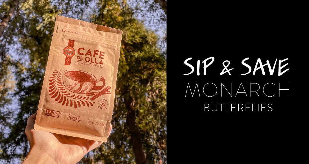 Sip and Save Monarch Butterflies 