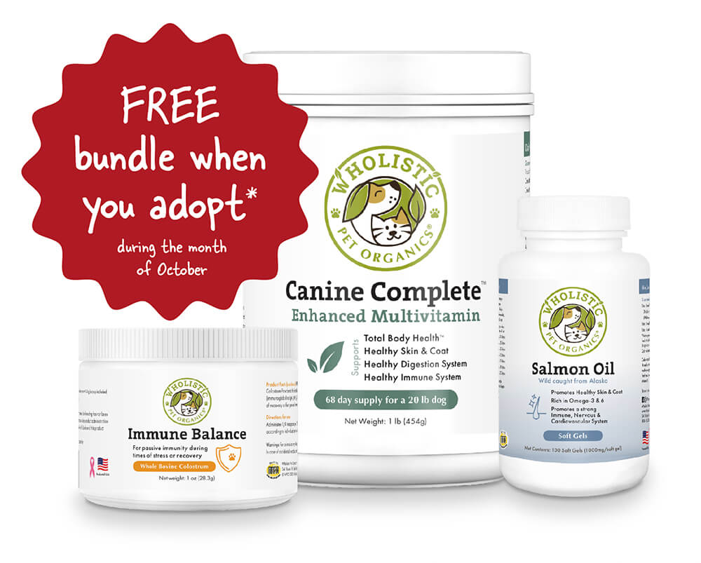 Get a free Wholistic Bundle when you a adopt a dog during the month of October