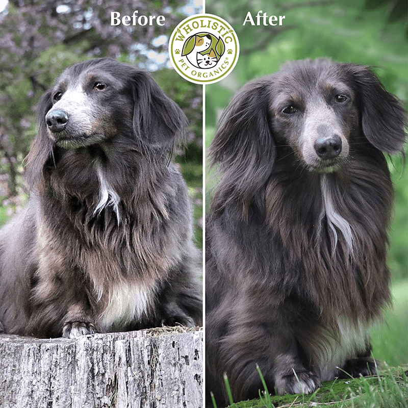 Before and After with Wild Salmon Oil