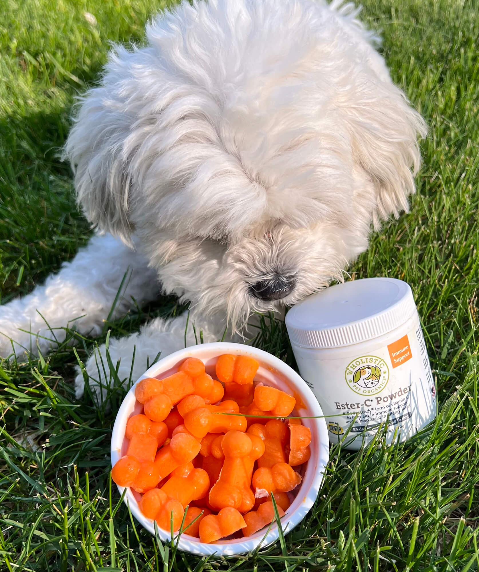 Carrot + Ester-C Dog Treats
