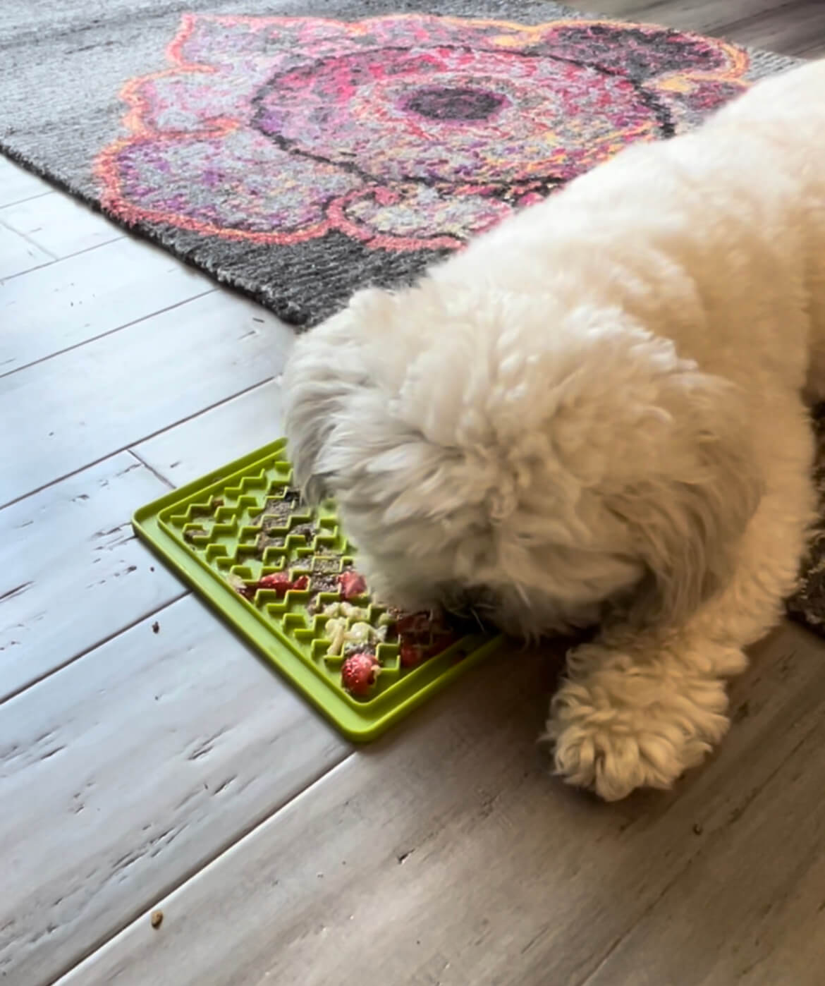 Your Guide to Everything Lick Mat: Lick Mat Recipes for Dogs, Lick Mat  Ideas, DIY Lick Mats, and More!
