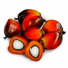 Palm Oil - Isivuno Naturals