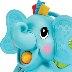 ollie sit walk and ride elephant