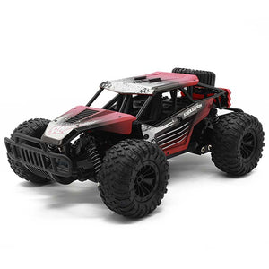 remote control car 300